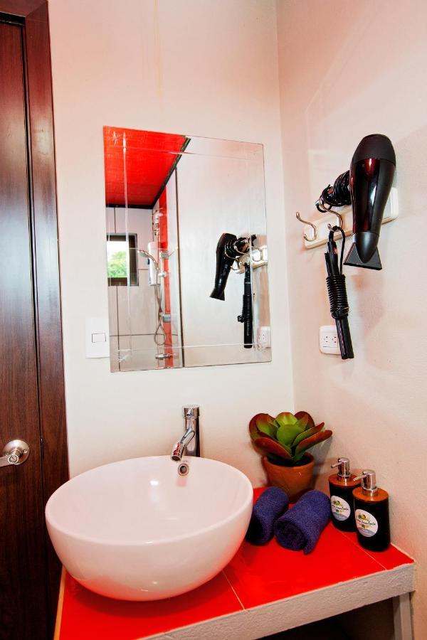 Casa Suculenta ,Monteverde Con Jacuzzi Privado Y Lavanderia Extérieur photo